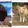 Before and after - Black Foxb.