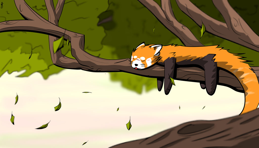 Much Lazy Red Panda