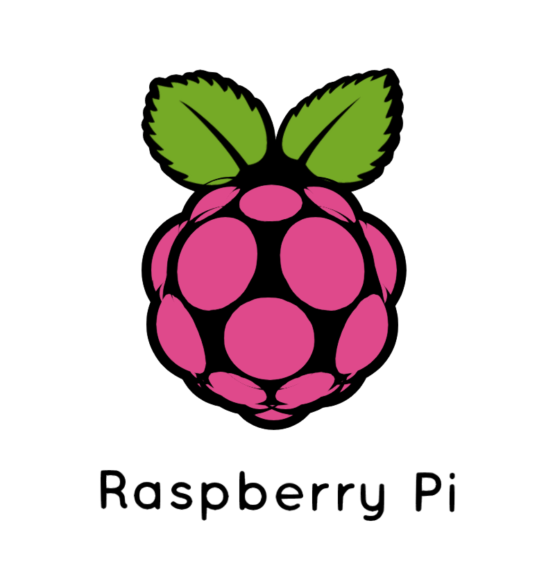 Raspberry Pi 3d Logo