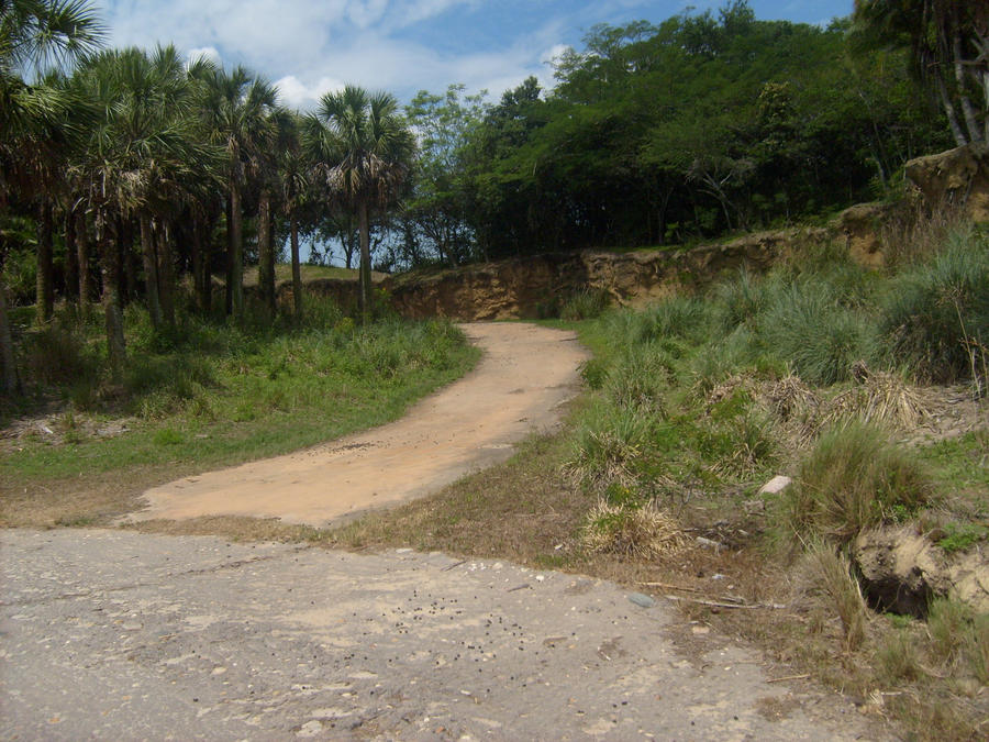 Africa Path by DeputyPancake on DeviantArt