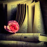 Rose On Book . II