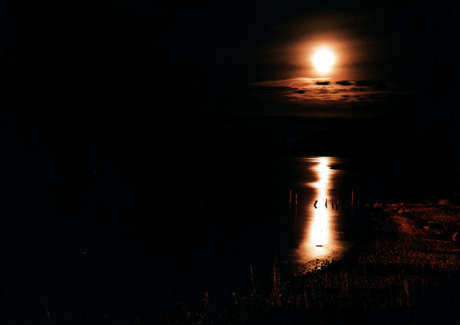 Moonlight Shadow Example Moonlight shadow by wido-gg on DeviantArt