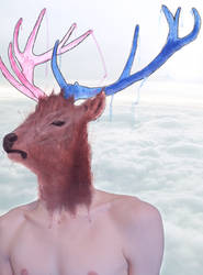 Sky Stag