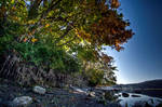 Sooke River Maples by Kekilen