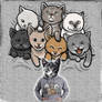 KITTENS
