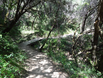 Yuba Trail