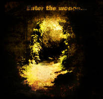 Enter the Woods