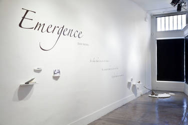 Emergence Title Wall