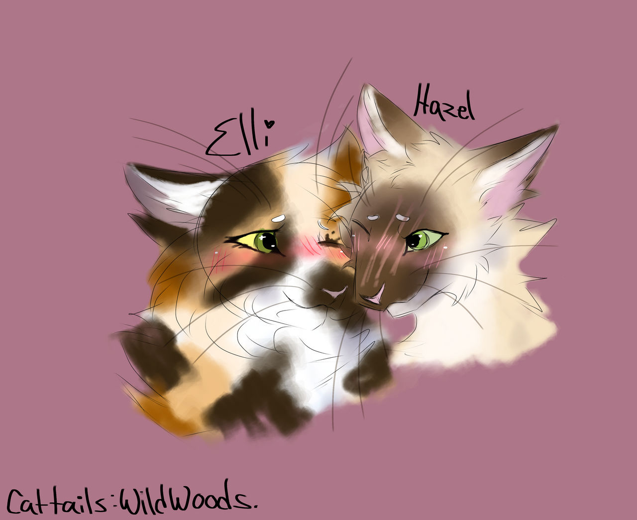 Elli and Hazel (Cattails:WildWoods) by JackTheWarrior on DeviantArt