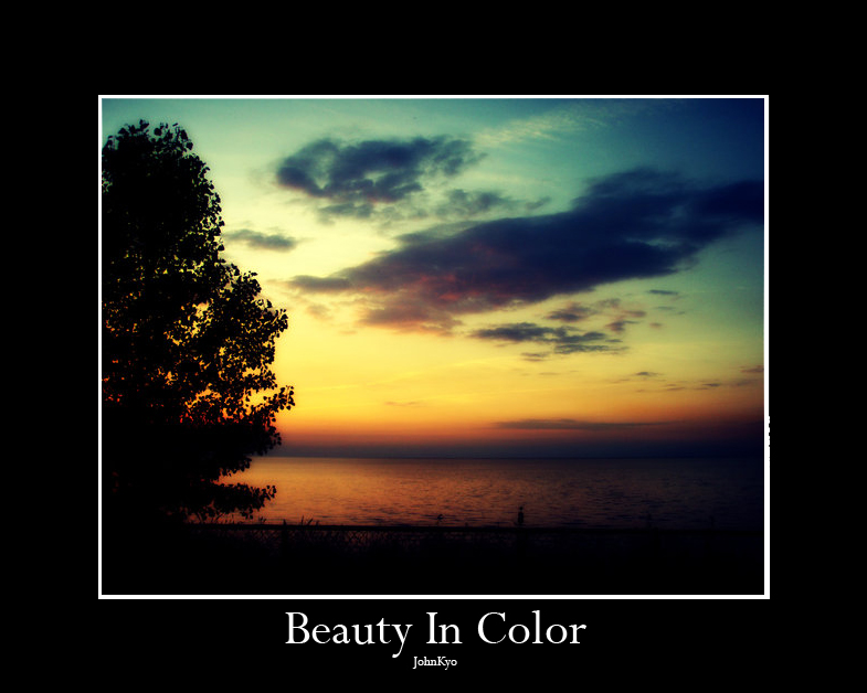 Beauty In Color