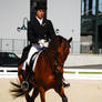 KR09 Dressage 19