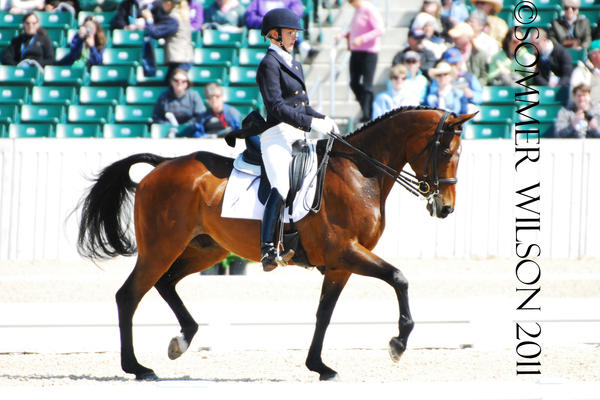 Diana Burnett Dressage III