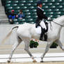 Kim Severson Dressage