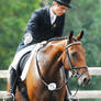 Sept HT: Dressage