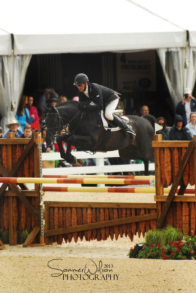 RK3DE2013