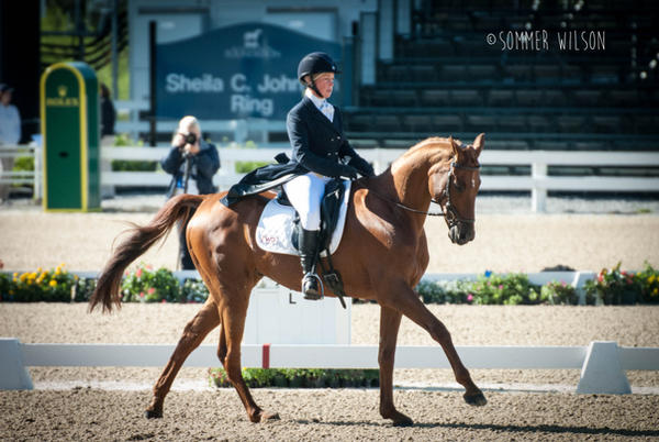 Rolex Kentucky Three Day event 2015