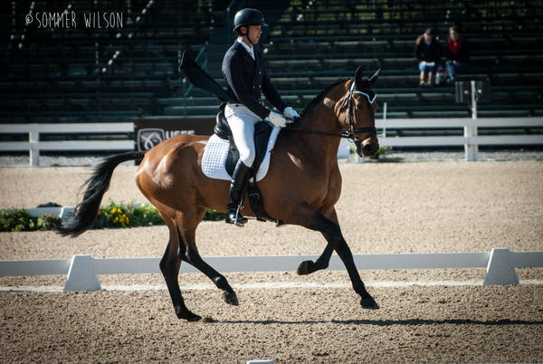 Rolex Kentucky Three Day event 2015