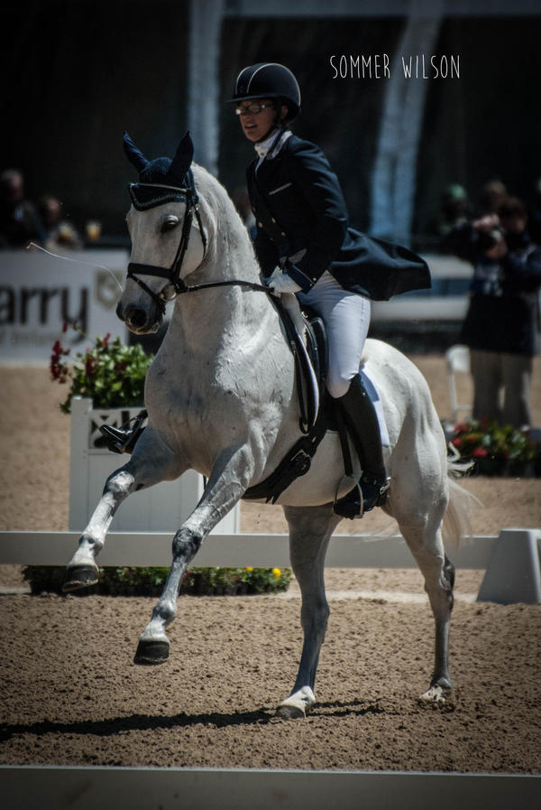 Rolex Kentucky Three Day event 2015