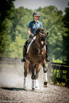 Chatworth Studs