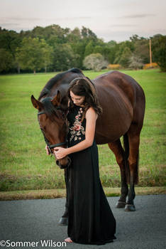 Alexis and Ceres Stock