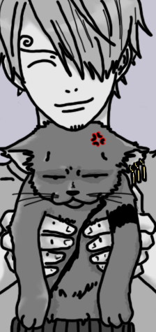 Sanji and Zoro .. kitty