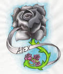 Rose of Alex