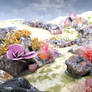 Coral Reef 7
