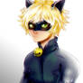 Chat Noir