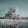 Le pied dans l'eau