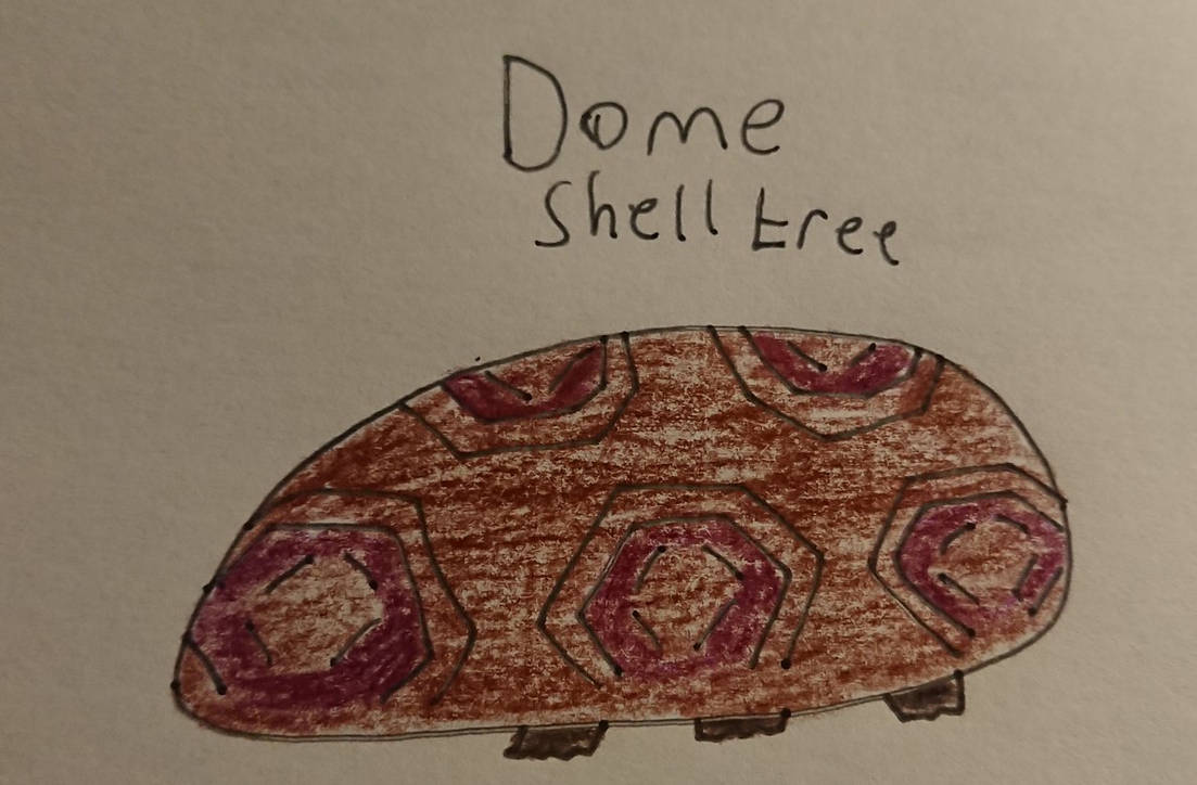 C Shell Tree Dome Shell Tree by Vertell on DeviantArt