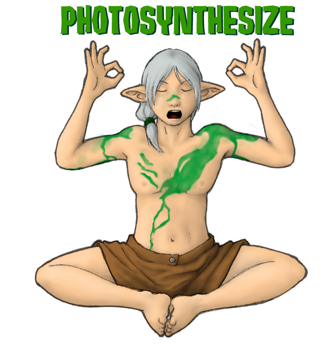 Photosynthesize