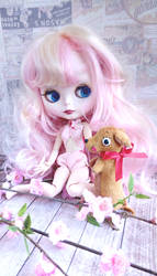 Pet,  friend, toy for blythe doll