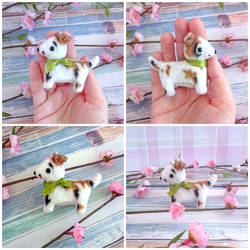 jack russell terrier dog puppy toy