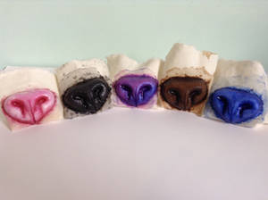 Silicone Noses for Sale