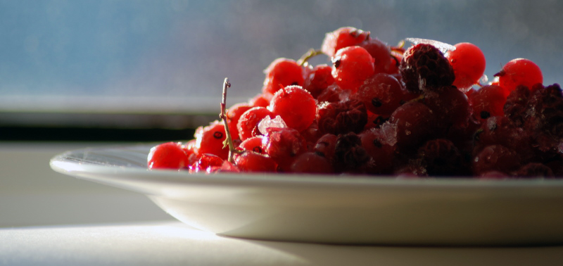 Red currant_3