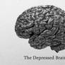 The Depressed Brain