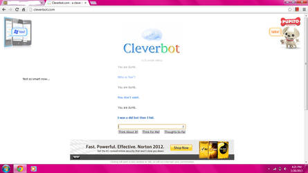 CleverBot