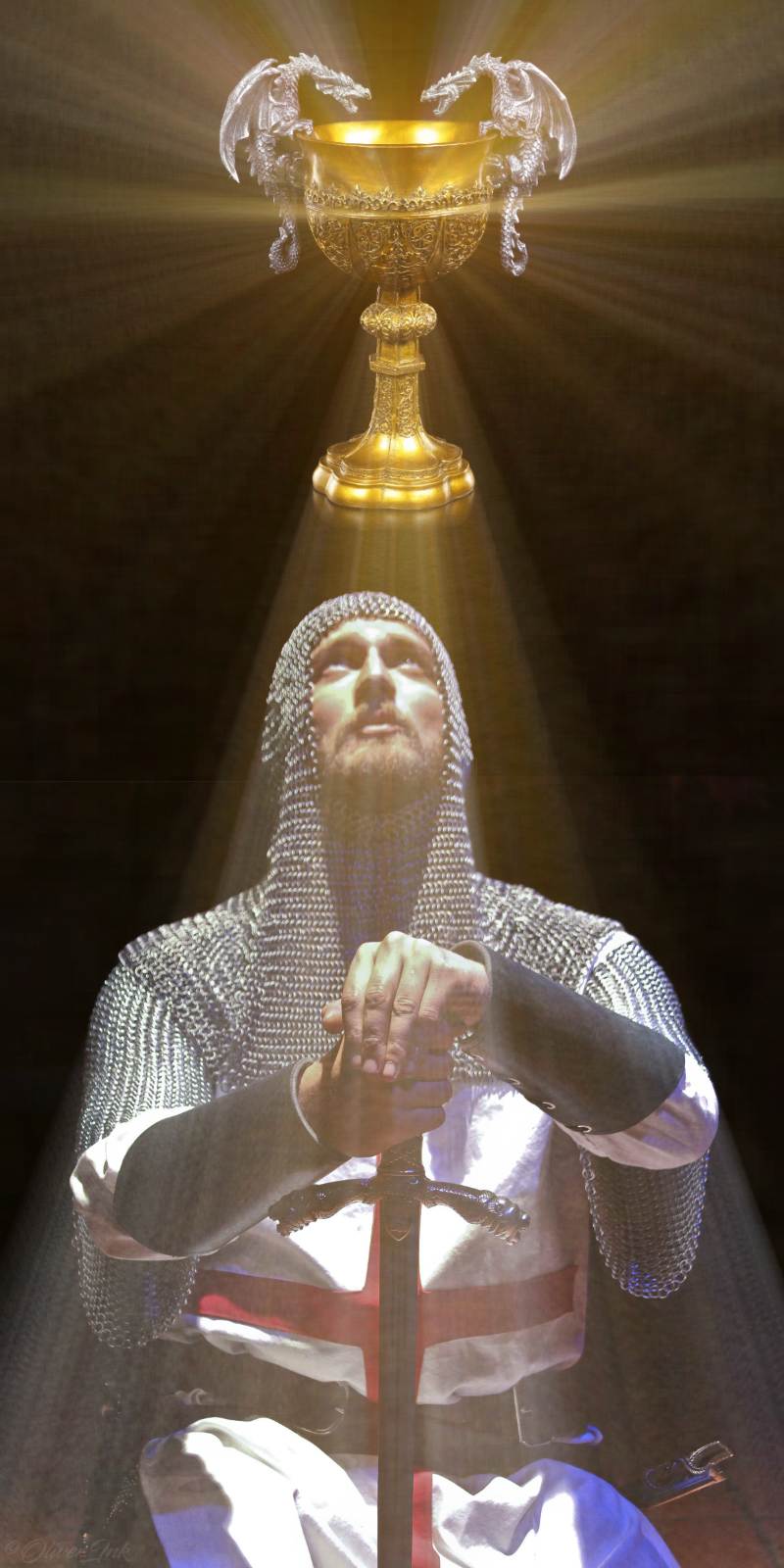 Defender Of The Grail by OliverInk on DeviantArt