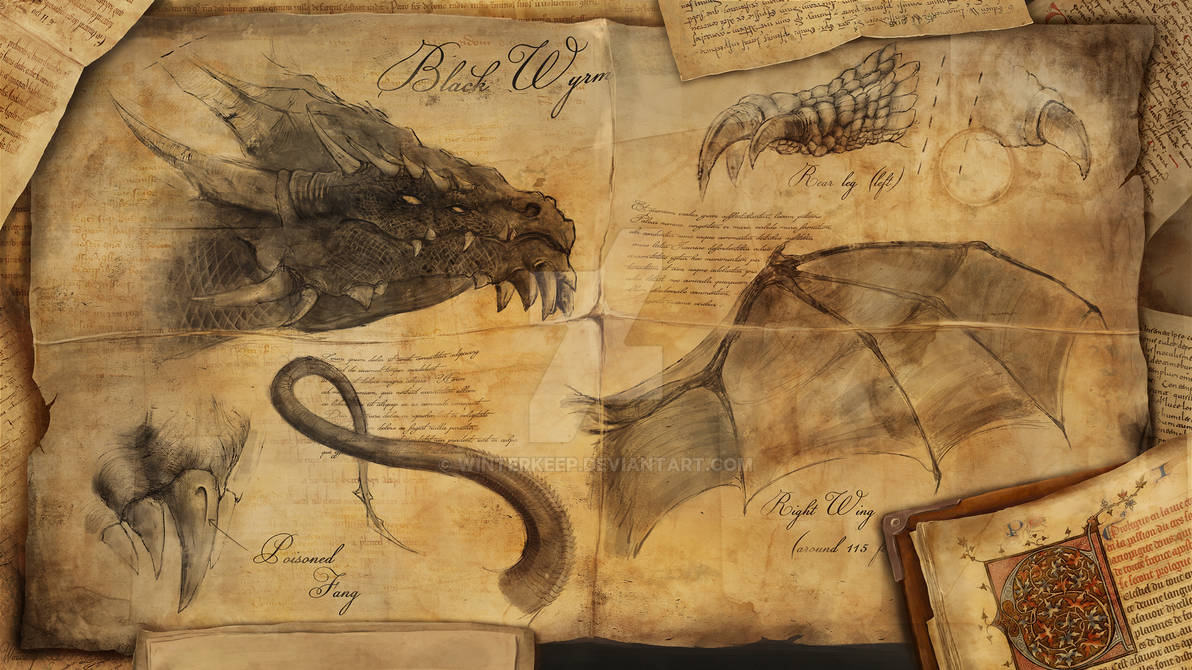 Dragon study by Winterkeep on DeviantArt