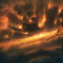 Beyond the Stars