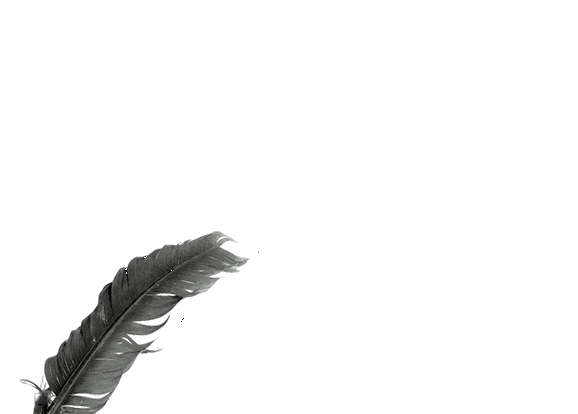 animated quill by ShadAura on DeviantArt animated quill by ShadAura on DeviantArt