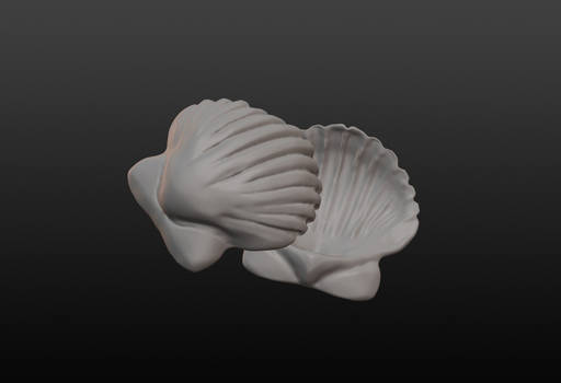 Shell