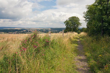 Feldweg