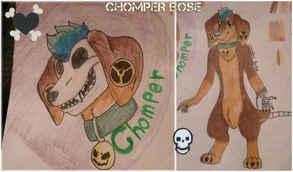 Chomper Bose