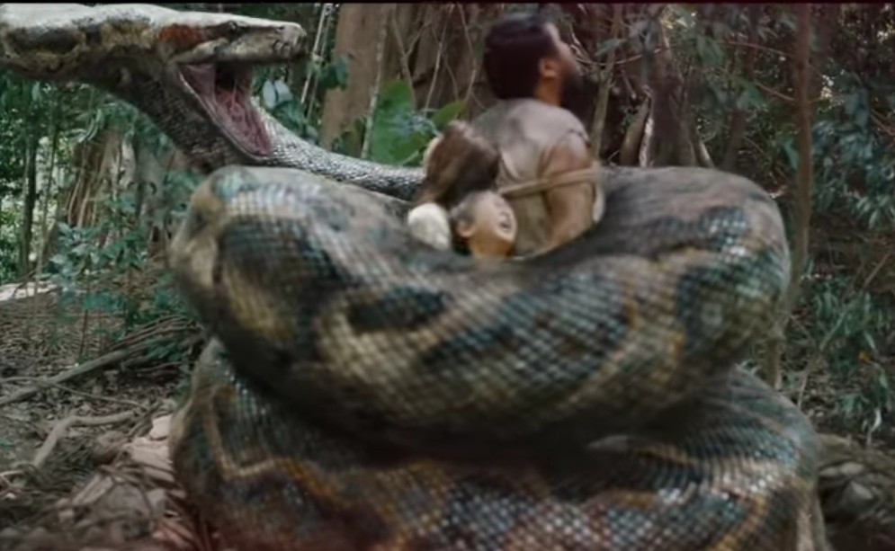 Python Coiled Woman Woman coiled by anaconda 3 by autotyson on DeviantArt