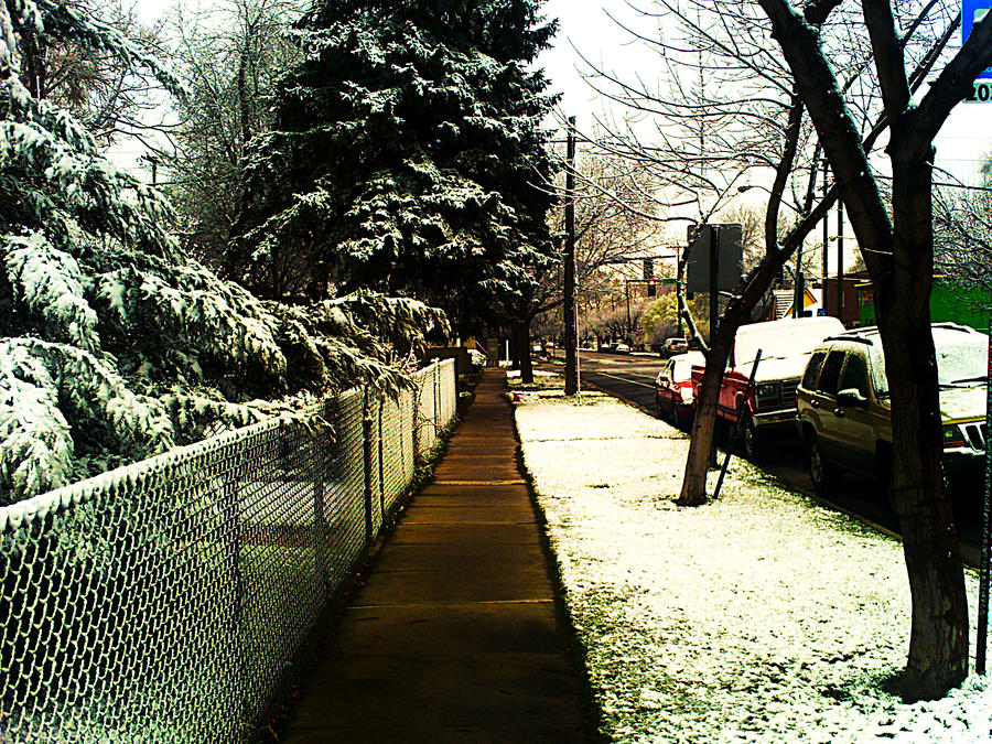 Snowy Pathway