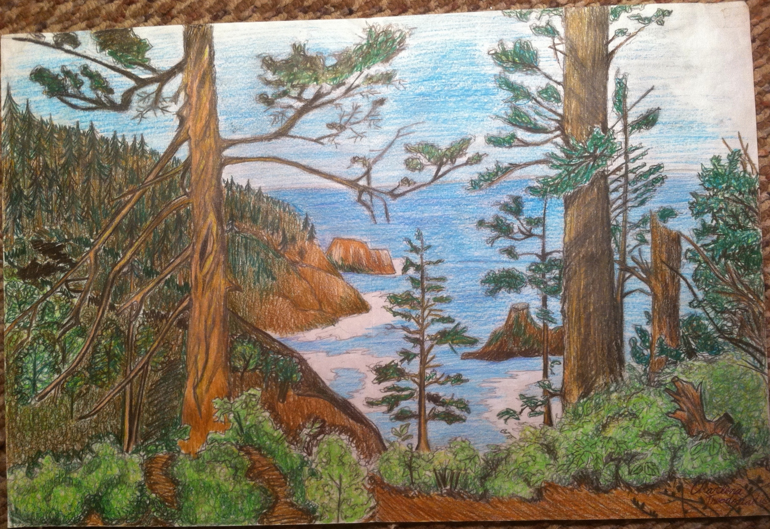 Pine Coast