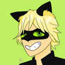 Chat Noir