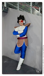 Vegeta sayan'sprince