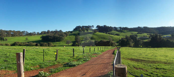 Ferguson Valley